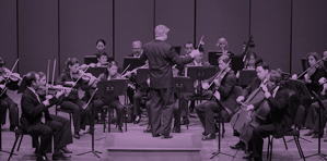 2012 - 2013 IRIS Orchestra Season